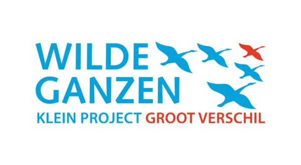 Wilde Ganzen